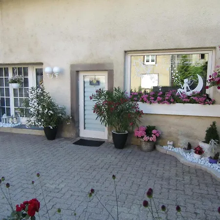 La Belle Endormie - Appartement A Fenetrange Exterior photo