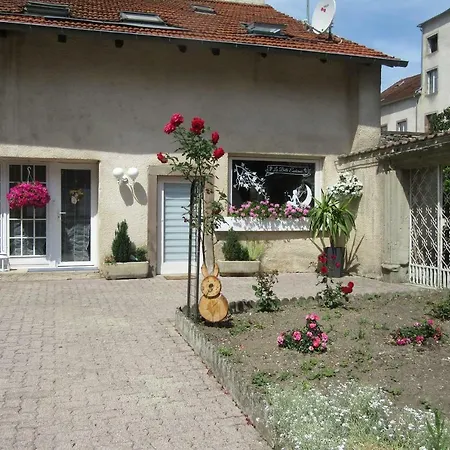 La Belle Endormie - Appartement A Fenetrange Exterior photo