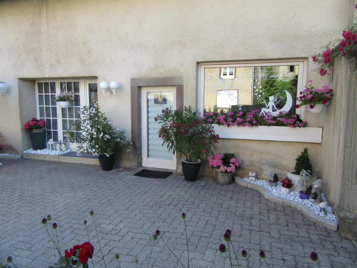 La Belle Endormie - A Apartment Fenetrange